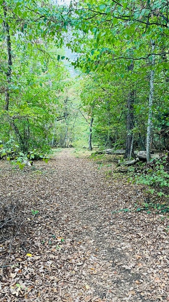 22-09-10 16-21-15 1938.jpeg